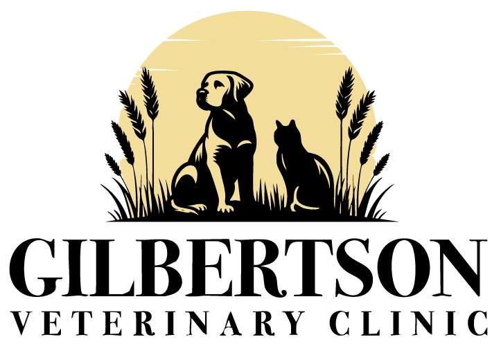 Gilbertson Veterinary Clinic - White Outline