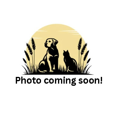 Profile for Carla D. Gilbertson